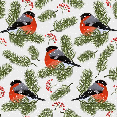 Boğa ispinozu, kızılcık ve köknar dallarıyla kusursuz desen. Beyaz arkaplanda vektör illüstrasyonu