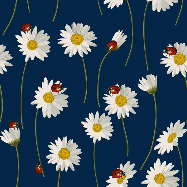 Naadloos patroon met madeliefjes bloemen en lieveheersbeestjes. — Stockvector