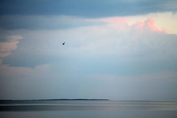 Zonsondergang zee landschap. Stad zee zonsondergang panorama. Zonsondergang stad uitzicht op zee. Zonsondergang zee panorama — Stockfoto