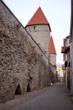 Estonya 'nın Tallinn şehrinde çekilmiş bir şehir manzarası resmi. Şehrin eski bölümünde kırmızı çatılı evler. Baltık devletlerinin tarihi simgesi.