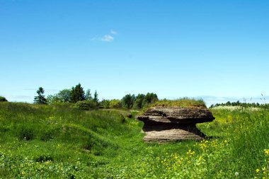 Karst kireç taşı oluşumları Estonya 'da, Tallinn City yakınlarında. toprak erozyonu ve Kosova bölgesindeki delikler.