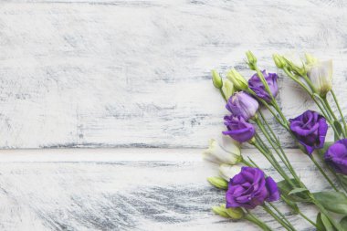 Beyaz renkli ahşap arka planda mor ve beyaz Eustoma çiçekleri. Uzayı metin için kopyala. Çiçek tasarımı. Kesilen çiçeklerin güzel, botanik arkaplanı lisianthus veya prairie gentian.
