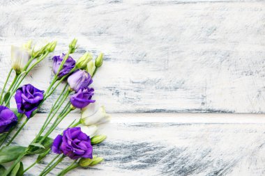 Beyaz renkli ahşap arka planda mor ve beyaz Eustoma çiçekleri. Uzayı metin için kopyala. Çiçek tasarımı. Kesilen çiçeklerin güzel, botanik arkaplanı lisianthus veya prairie gentian.
