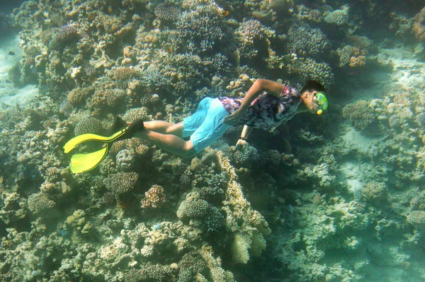 Taucher Schwimmen Unter Wasser Roten Meer Ägyptens Blaues Meerwasser — Stockfoto
