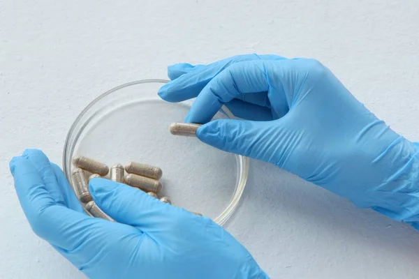 Chemist Blue Glowes Laboratory Testing Glass Plate Organic Pills Laboratory — Stock Photo, Image