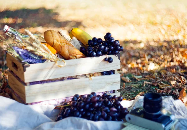 autumn picnic box with fruits-grapes, bananas, Oranges and bottle of drinking water