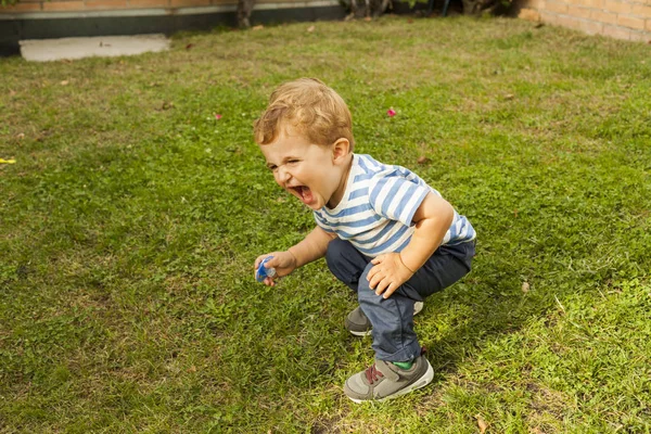 Tam çekim portre sevimli gülen bebek çocuk ağız kavgası çim içinde
