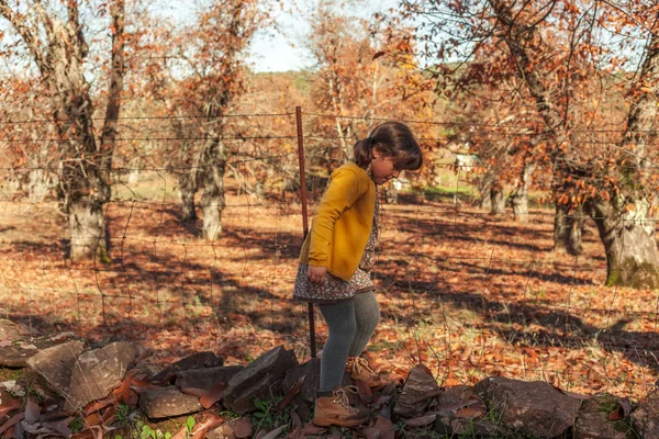 Menina tiro completo de pé em um chão cheio de folhas. Retrospectiva do Outono — Fotografia de Stock