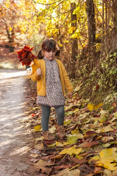 完整的镜头的女孩捧着的叶子。秋天的背景 — 图库照片
