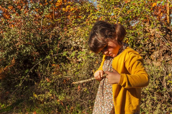 Feche a menina com um pau. Fundo de outono — Fotografia de Stock