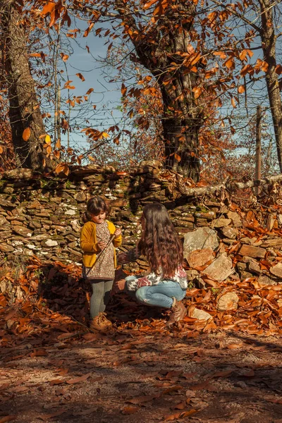 Retrato mujer y niña admirando y disfrutando de la naturaleza. Otoño lan — Foto de Stock