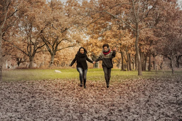 Mujeres jóvenes corriendo en el parque sobre un campo lleno de hojas. Aut. — Foto de Stock