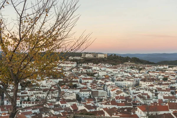 Árbol de primer plano y ciudad turística de Aracena en el fondo — Foto de Stock