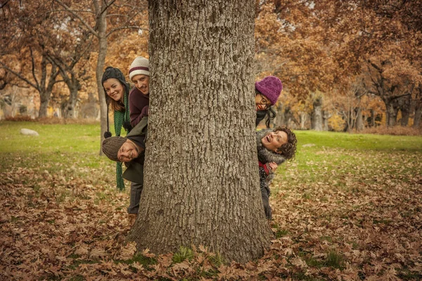 Los adultos jóvenes sacando la cabeza por el tronco grande del árbol — Foto de Stock