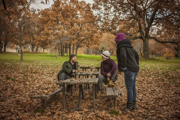 Amigos conversam em um parque cheio de folhas. Natureza — Fotografia de Stock