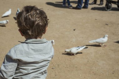 Arka görünümü çocuk parkta güvercin besleme. Seville. İspanya. 