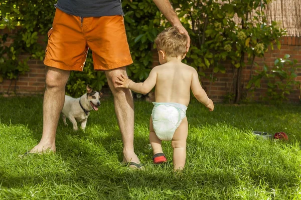 后视男孩穿着尿布 抱着爸爸的腿 和狗在花园里玩耍 — 图库照片