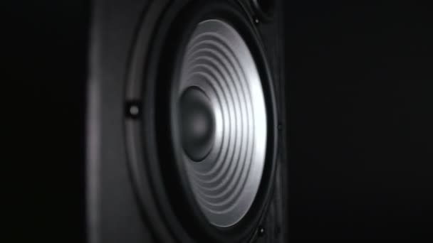 Een vibrerende werken Subwoofer Silver — Stockvideo