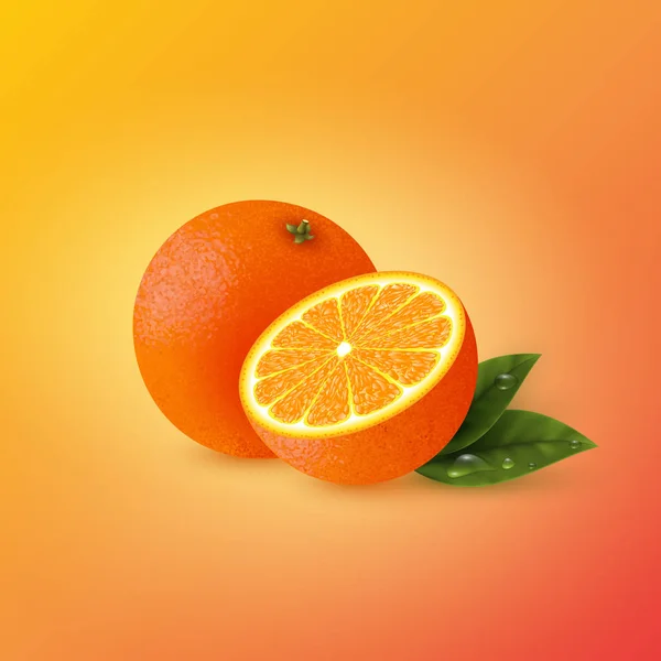 Orange réaliste avec des feuilles . — Image vectorielle