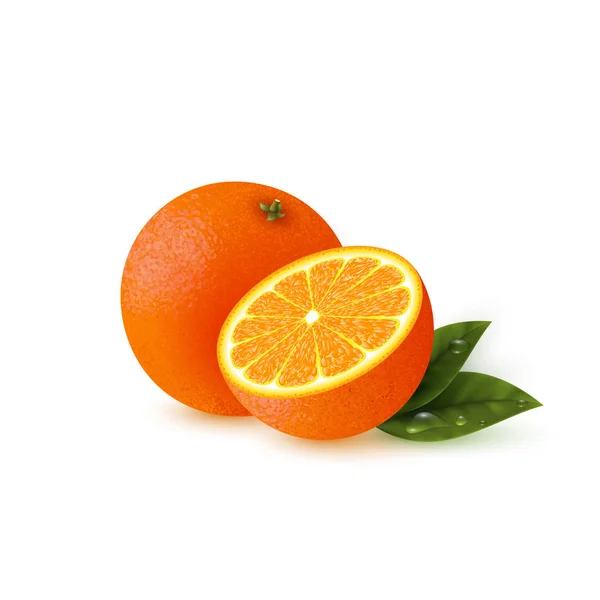 葉とリアル オレンジ. — ストックベクタ