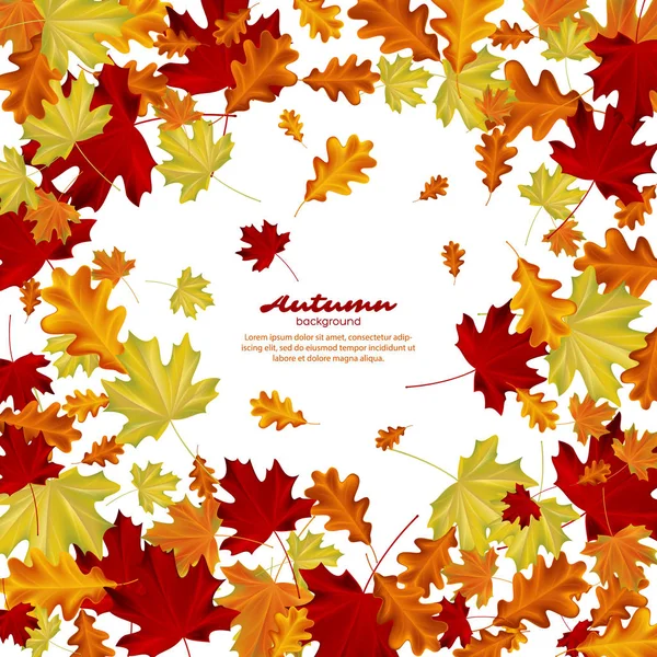Folhas de outono no fundo branco. — Vetor de Stock