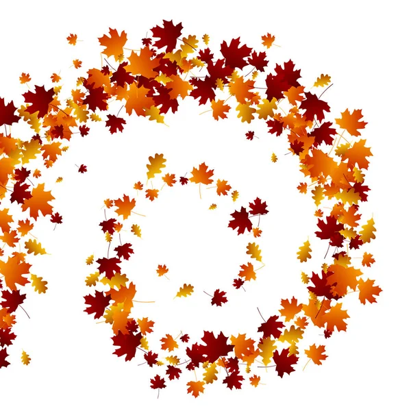 Autumn swirl leaves. — Stock Vector