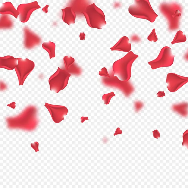 Fliegende Rosenblätter Hintergrund. — Stockvektor