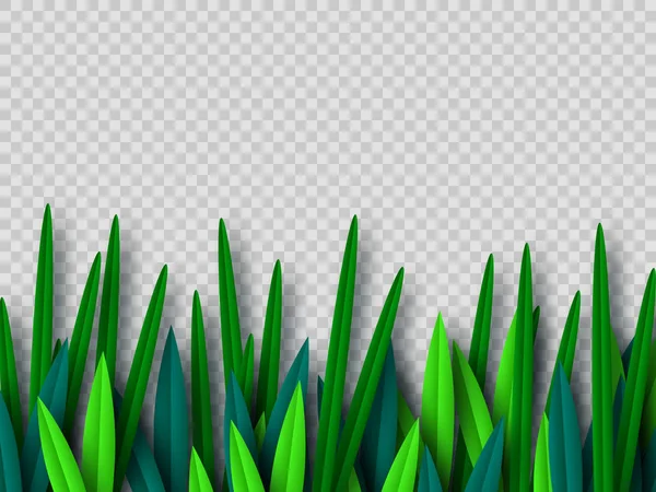 Vector green grass border. — Stock Vector