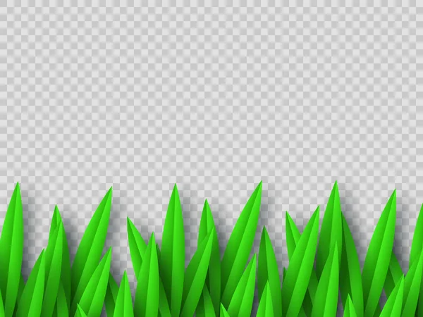 Vektorové hranice zelené trávy. — Stockový vektor