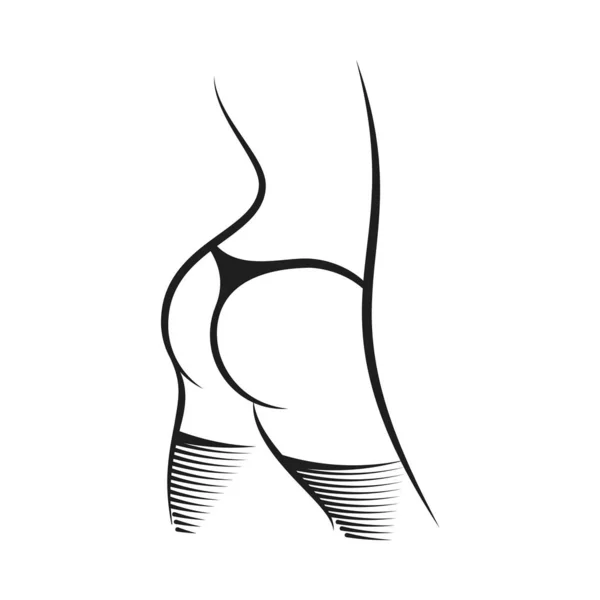 Female figure in underwear close-up — Stock Vector