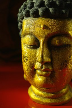 Kopya alanı koyu kırmızı zemin üzerine altın Buddha sakin yüz