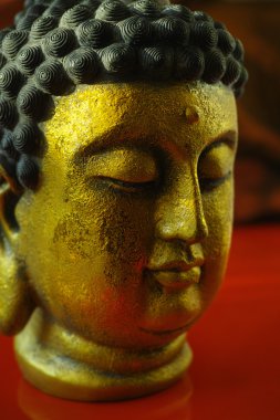 Kopya alanı koyu kırmızı zemin üzerine altın Buddha sakin yüz