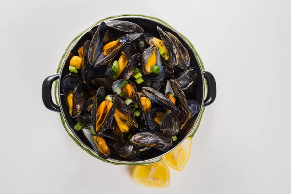 North Sea fresh steamed mussels, tasty seasonal food with lemon — Stock Photo, Image