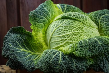 Yeşil taze bütün Savoy lahana yakın çekim