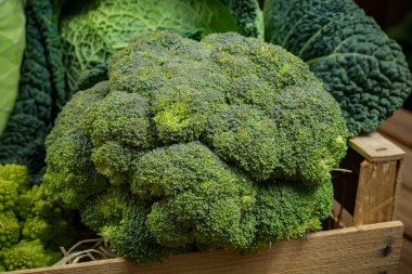 Ahşap kutusunda, yeşil ve turuncu taze sebze hasat