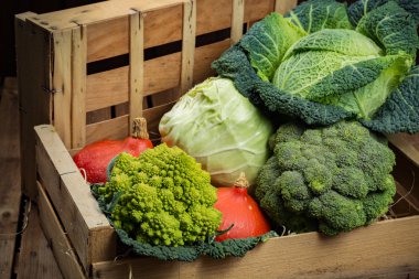 Ahşap kutusunda, yeşil ve turuncu taze sebze hasat