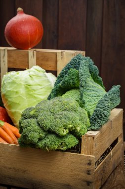 Ahşap kutusunda, yeşil ve turuncu taze sebze hasat
