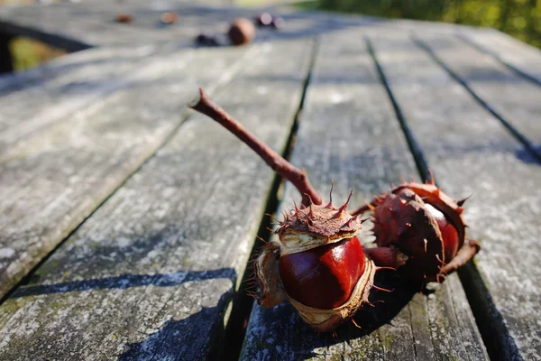 Castanhas frescas sobre fundo de madeira — Fotografia de Stock