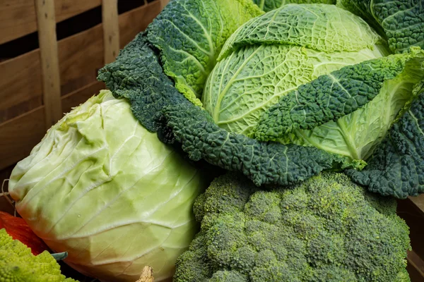 Sayuran hijau - seluruh kubis Savoy, brokoli, kubis lainnya — Stok Foto
