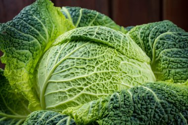 Yeşil taze bütün Savoy lahana yakın çekim