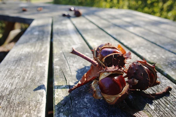 Castagne fresche su sfondo di legno — Foto Stock