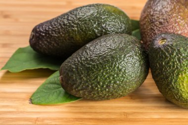 Yaprakları ile yeşil taze avokado