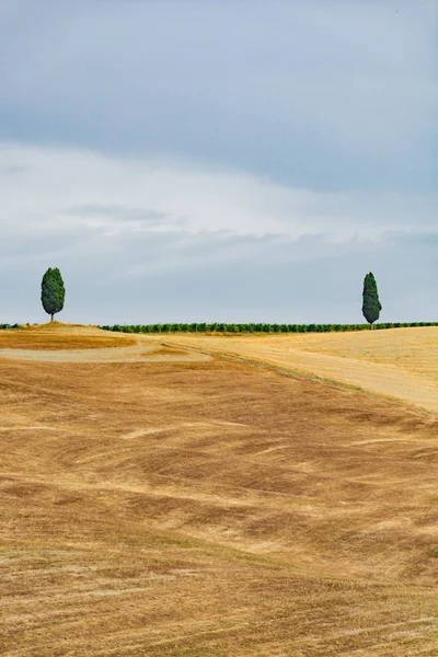 Типовий ландшафт в Тоскані, фермерському будинку на пагорбах Валь-д'Ор — стокове фото