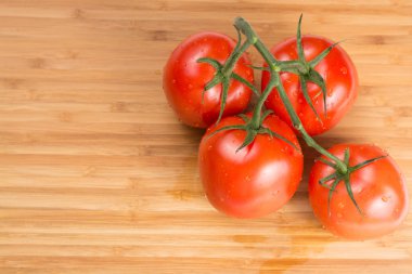 Dal taze kırmızı domates. Su damlaları ile domates.