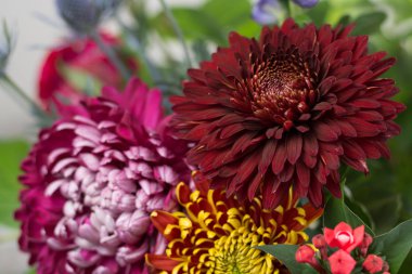 renkli çiçek buketi