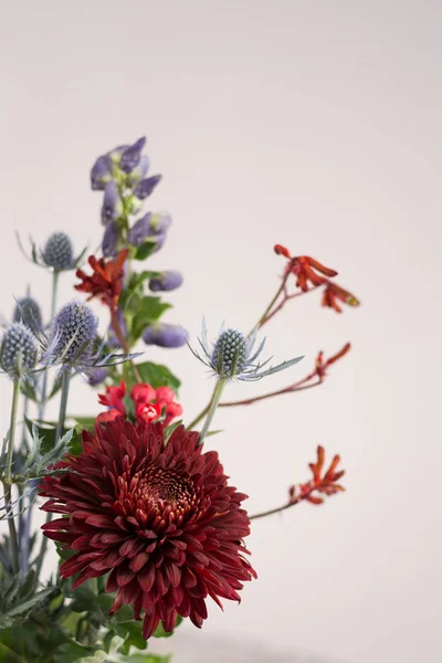 Барвисті квіти букет копіювати простір — стокове фото