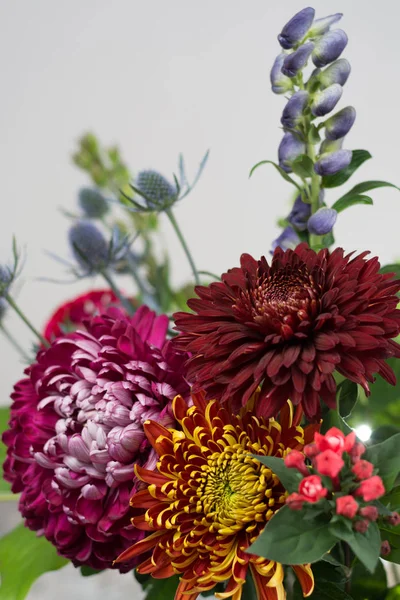 화려한 꽃 부케 — 스톡 사진