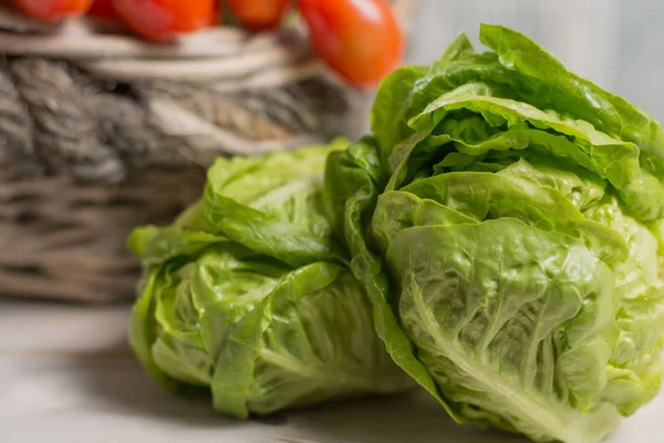 Foglie di insalata di lattuga fresca verde e mini pomodori roma — Foto Stock