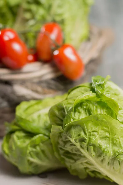 Hojas de ensalada de lechuga romana fresca verde y tomates roma mini —  Fotos de Stock