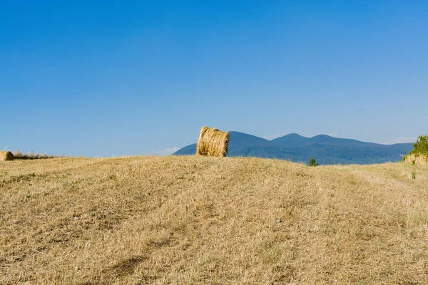 Rundstrohballen auf abgeernteten Feldern und blauer Himmel — Stockfoto
